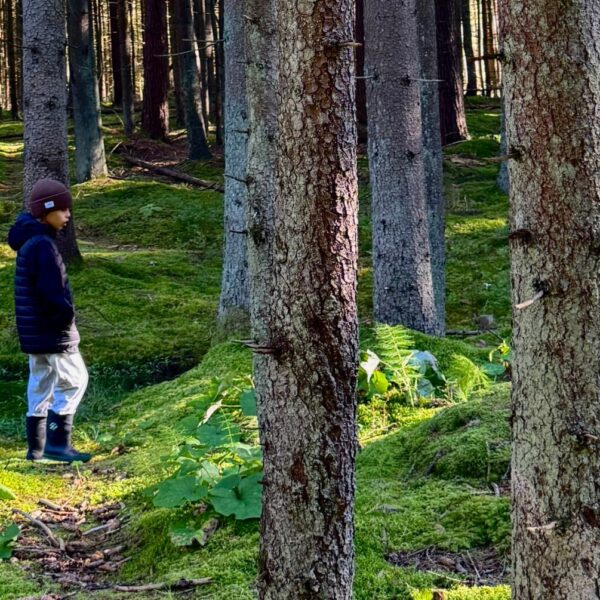 Miško maudynės vaikams (7-13m.) Lapkričio 8 d.