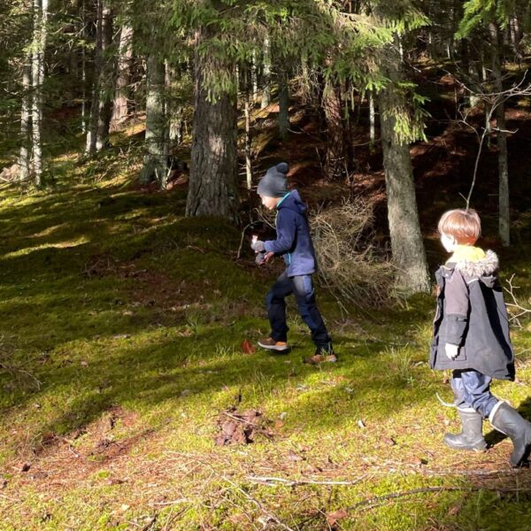 Miško maudynės vaikams (4-9 m.) Spalio 25 d.