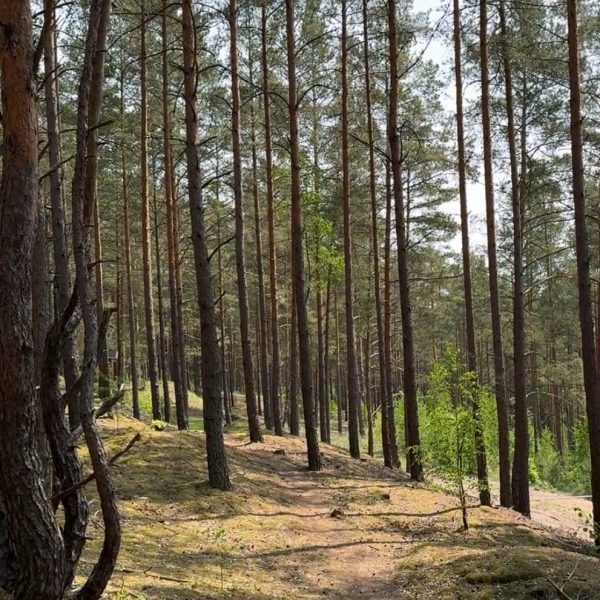 Miško maudynės Merkinėje