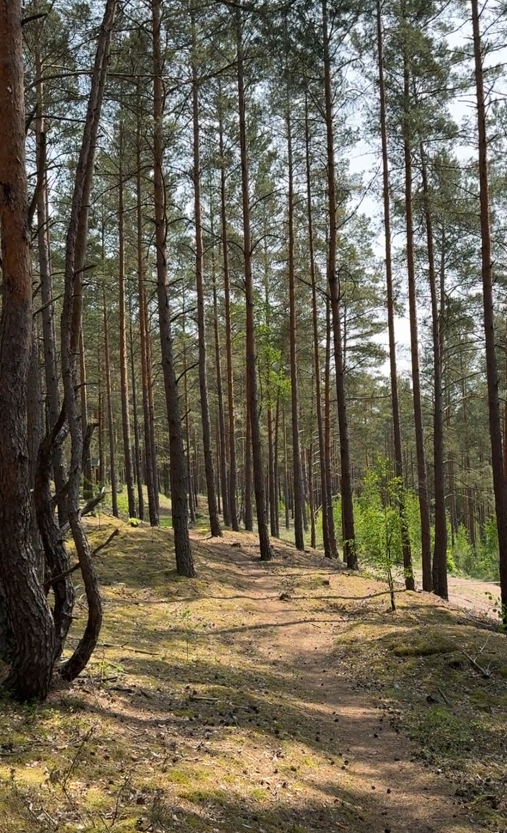 Miško maudynės Merkinėje